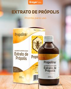 PROPOLINA L3 EXTRATO PROPOLIS MARROM ORGANICO SOLUÇÃO 250ML - BREYER